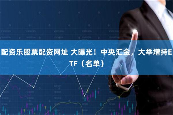 配资乐股票配资网址 大曝光！中央汇金，大举增持ETF（名单）